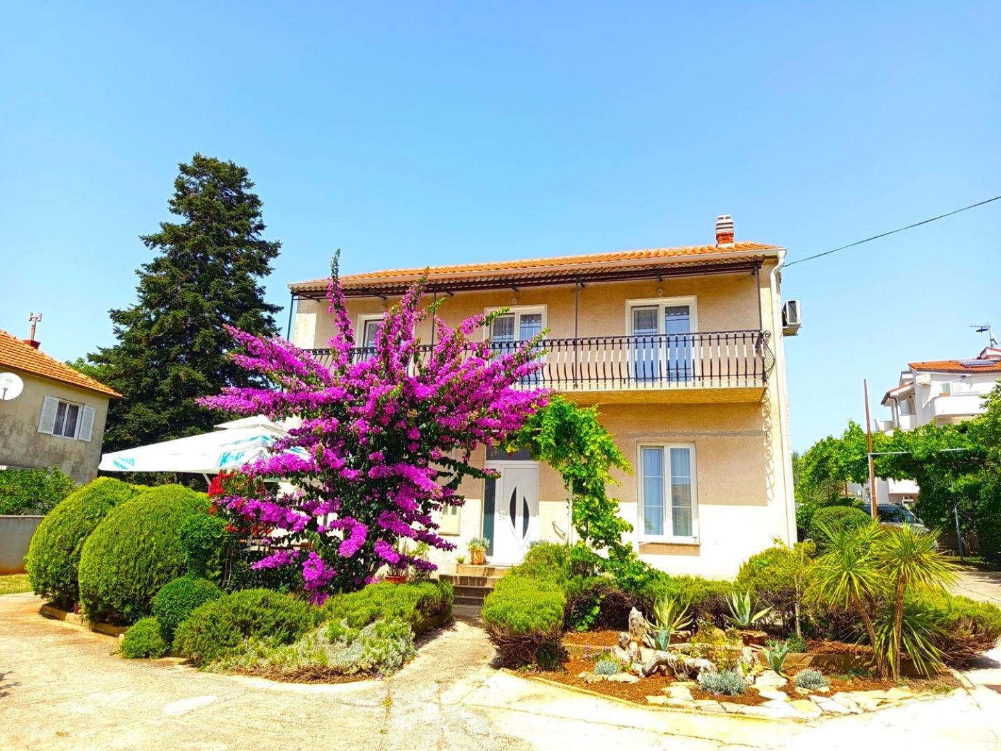 Bosana Biograd *